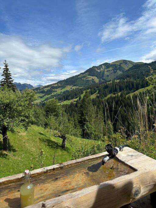 Příroda nedaleko apartmánu