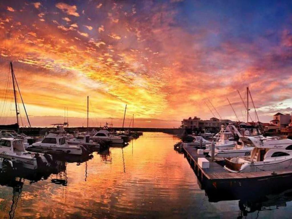 a group of boats docked in a marina at sunset at 24 Gordonia, Sleeps 7, Beach Front condo - Load-shedding friendly with Solar Power and battery backup in Gordonʼs Bay