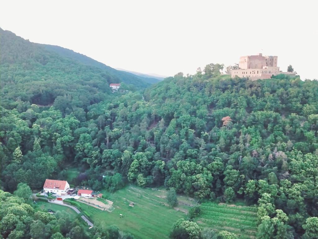 eine Luftansicht eines Hauses auf einem Berg in der Unterkunft Ferienwohnung Naturoase Quasthoff in Neustadt an der Weinstraße