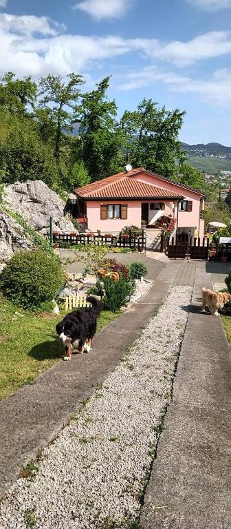 Przyroda w pobliżu tego apartamentu