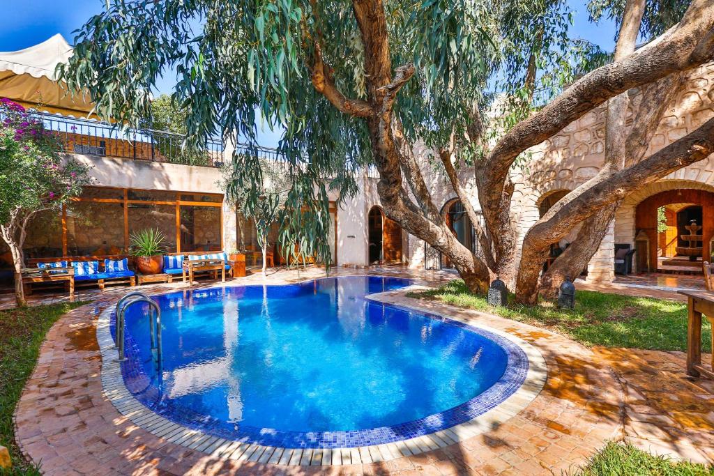 - une piscine dans une cour avec un arbre dans l'établissement Riad Dar Etto, à Essaouira