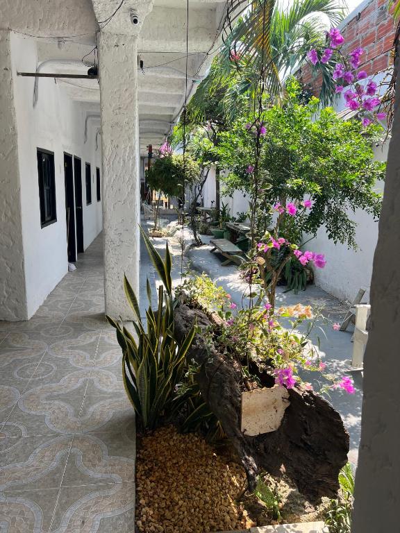 Zahrada ubytování Casa Torices Real 12