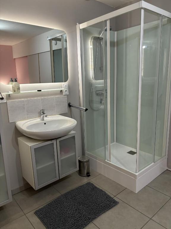 a bathroom with a sink and a shower at L&#39;éclat balnéo in Malo-les-Bains