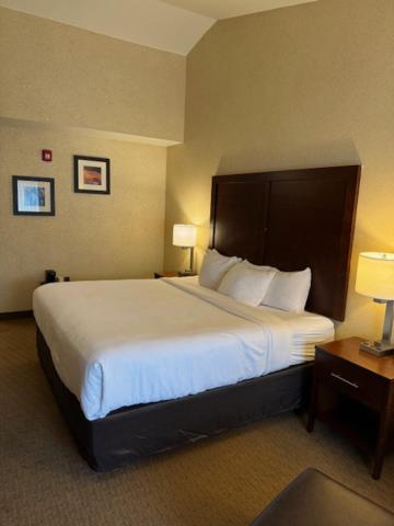 Comfort Inn & Suites Lincoln City - 效率特大号床间 - 带阳台 - 禁烟/高层