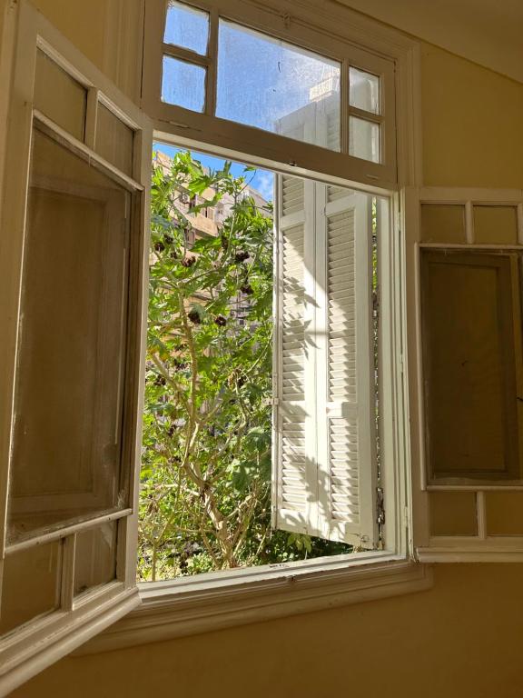 an open window with a view of a tree at Mariamish ‘s place in Alexandria