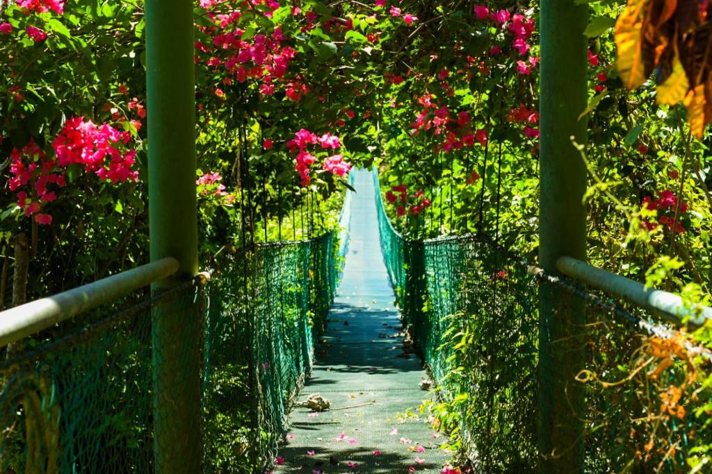 a path through a garden filled with pink flowers at Sunshine Sanctuary Boutique Jungle Lodge in Montezuma