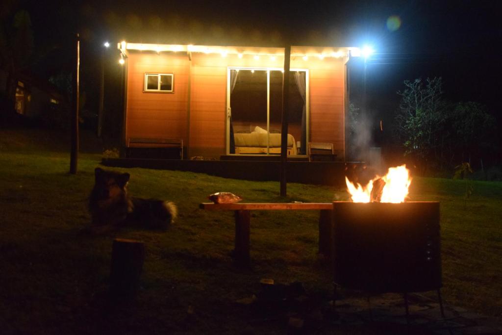 a dog sitting in front of a cabin at night at Refugio Aventura, romántico glamping montañero in Tabio