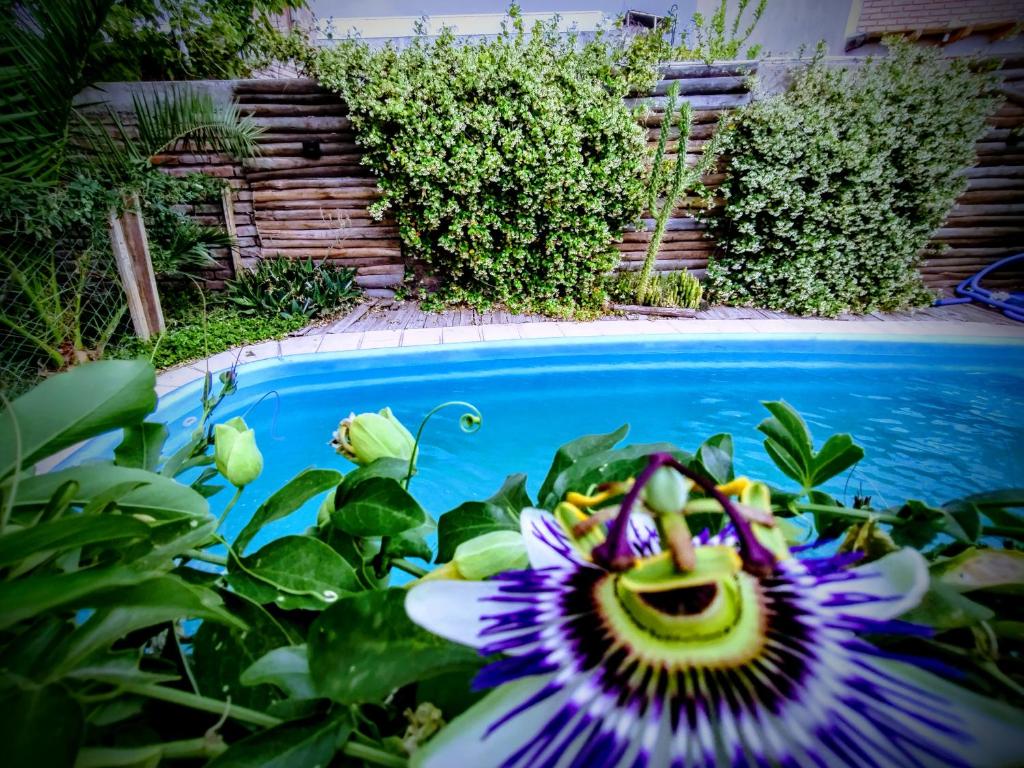 Zahrada ubytování Amukan Guest House