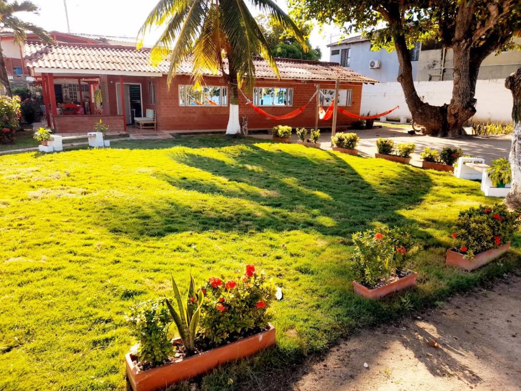 un patio verde con flores en macetas frente a una casa en Ortimar en Tolú