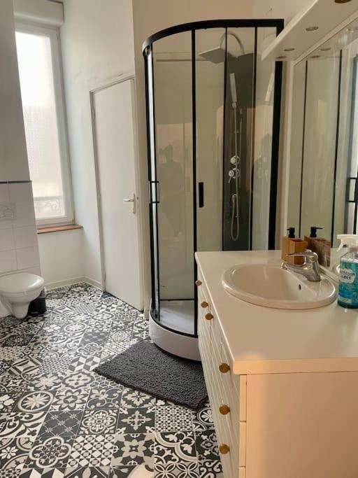 a bathroom with a shower and a sink at Madini-Breizh :T3 cœur de ville in Lannion