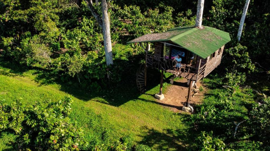 Ein Pavillon mit Leuten im Wald. in der Unterkunft Moradia da Mata in Nilo Peçanha