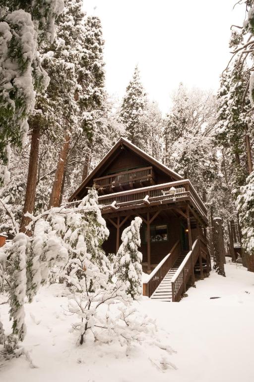 A-Frame Cabin in The Sequoias v zimě