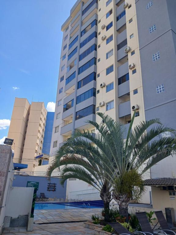 a palm tree in front of a building at Condomínio cesars park flats in Caldas Novas