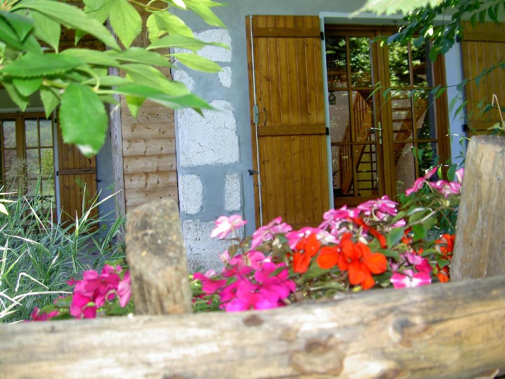 - un bouquet de fleurs colorées dans un jardin dans l'établissement Serenella fontaine Et Coquelicots, à Le Noyer
