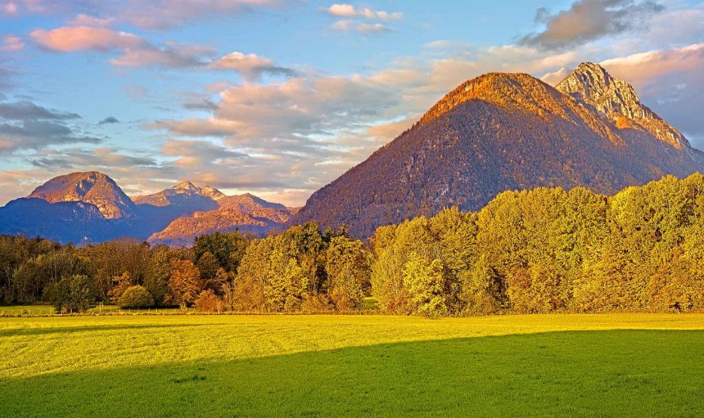 a mountain range with a green field and trees at Appartemens Marianne in Grossgmain