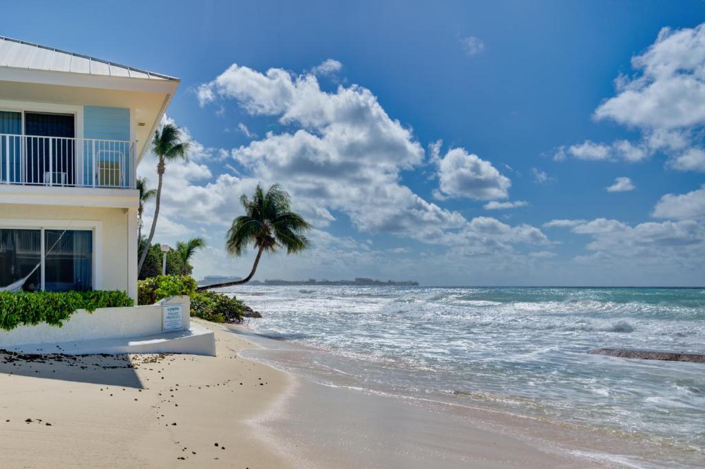 uma casa na praia com palmeiras e o oceano em Beautiful Beachfront Apartment! em Dog City