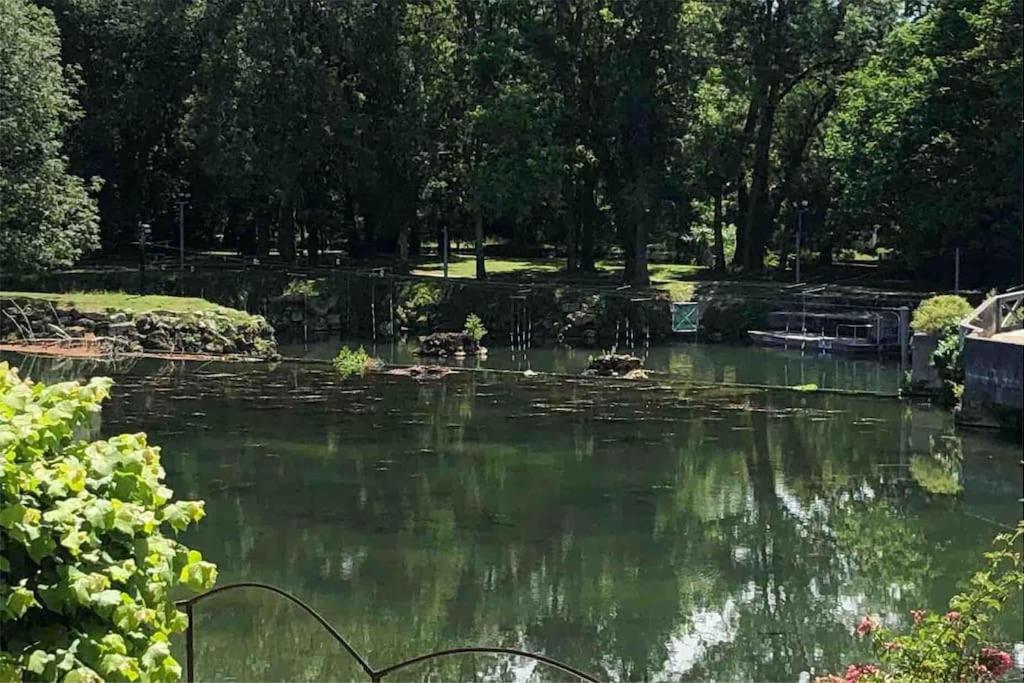 um lago com almofadas de lírios na água em Jarnac, charmante maison au bord du fleuve em Jarnac