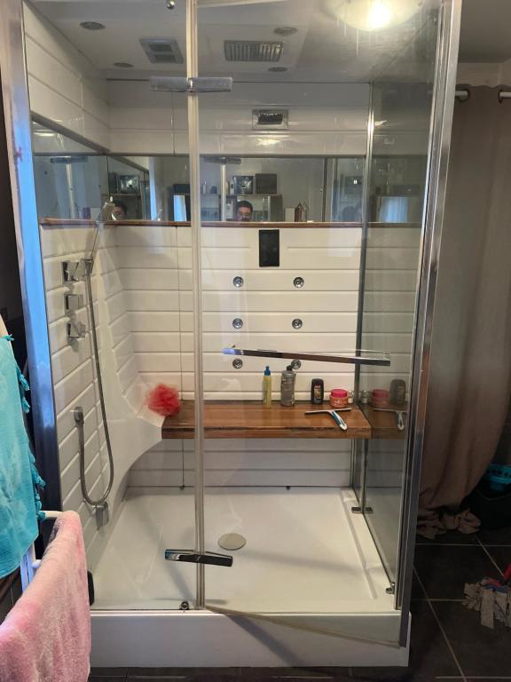 a shower with a glass door in a bathroom at chambre violette coté aéroport calme charmante in Pusignan