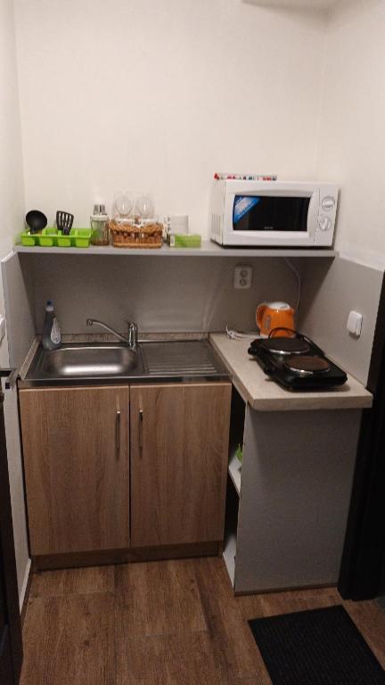 Kuchyň nebo kuchyňský kout v ubytování Vila Pavlínka apartmány Losiny