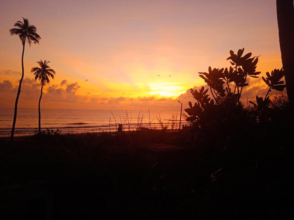 una puesta de sol en la playa con palmeras y el océano en Blackstar Inn en Trincomalee