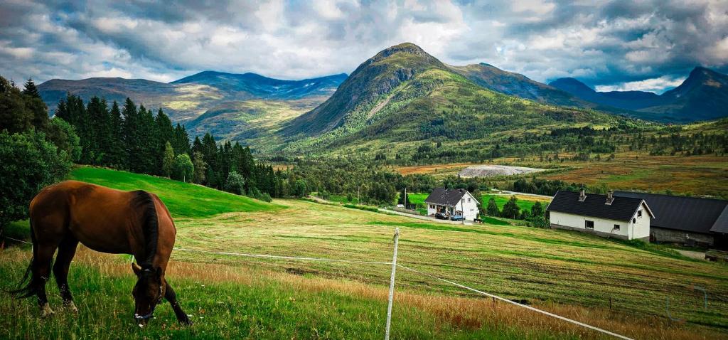 un caballo pastando en un campo con montañas en el fondo en Holiday home among the pearls of Norway, en Stranda