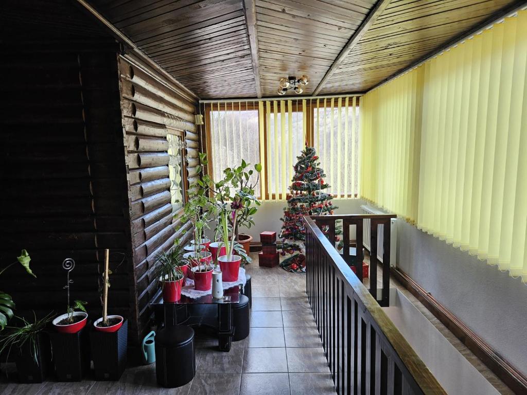 Fotografie z fotogalerie ubytování Casa Alex v destinaci Malaia