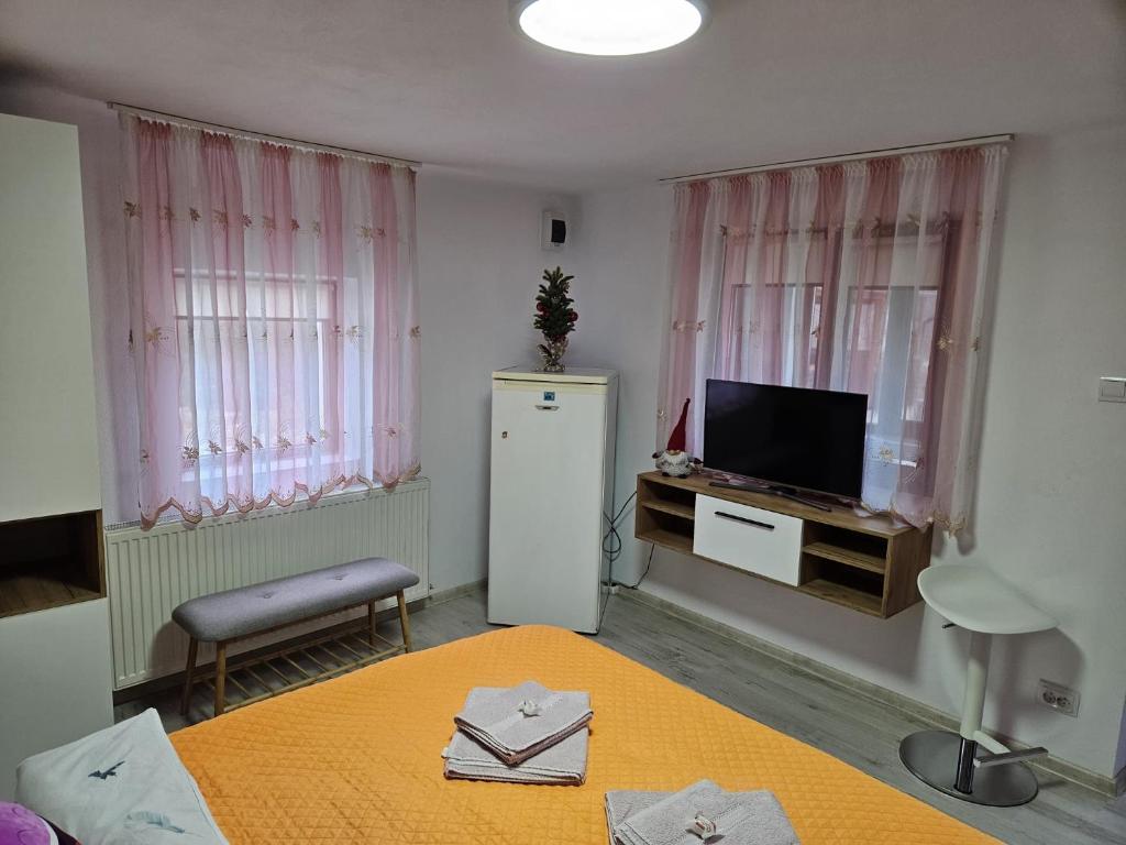 TV a/nebo společenská místnost v ubytování Casa Alex