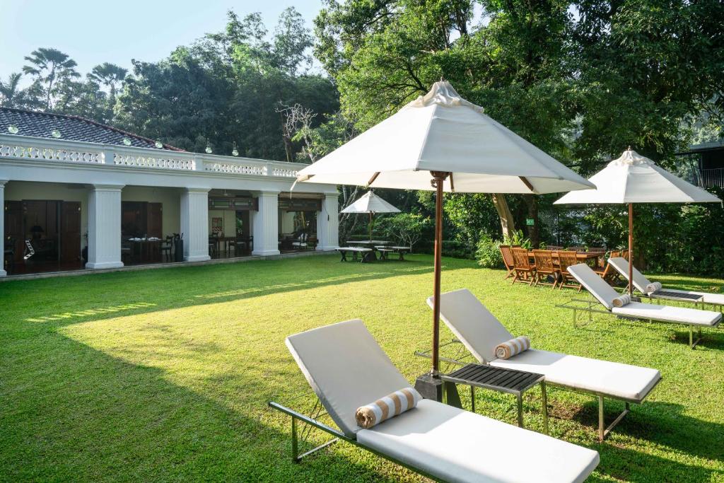 Zahrada ubytování Taru Villas Kandy