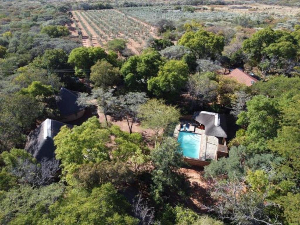 an aerial view of a house in the forest at La Campagna Olive Estate in Modimolle