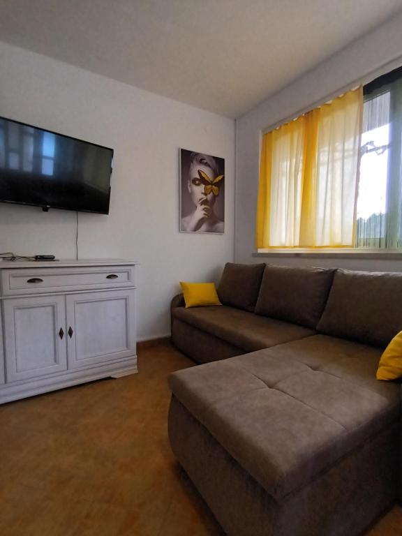 TV a/nebo společenská místnost v ubytování Apartment Luka near Dubrovnik