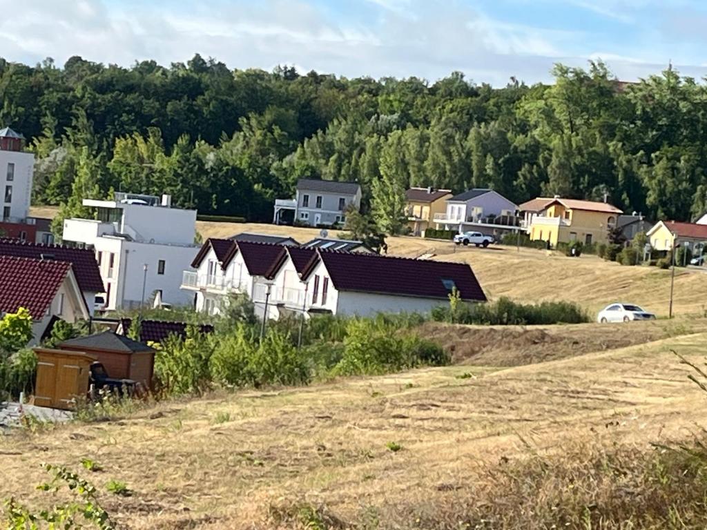 Blick auf einen Vorort mit Häusern in der Unterkunft Villa di Lago - Ferienhaus mit Sauna in Mücheln