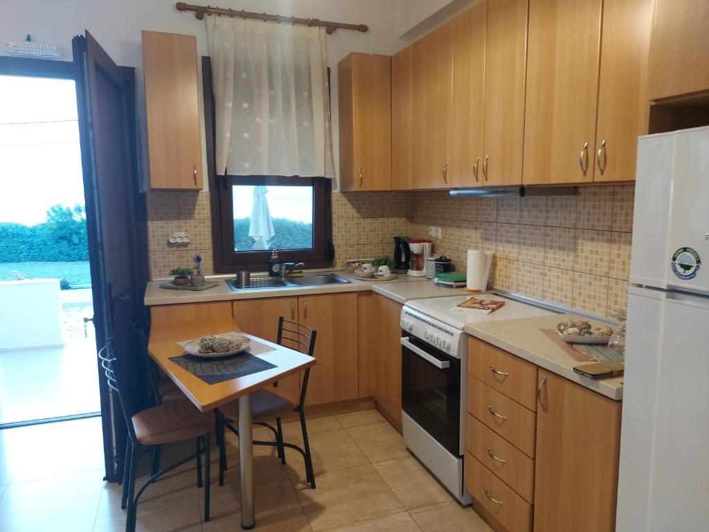 Kuchyň nebo kuchyňský kout v ubytování Aktaion Apartments