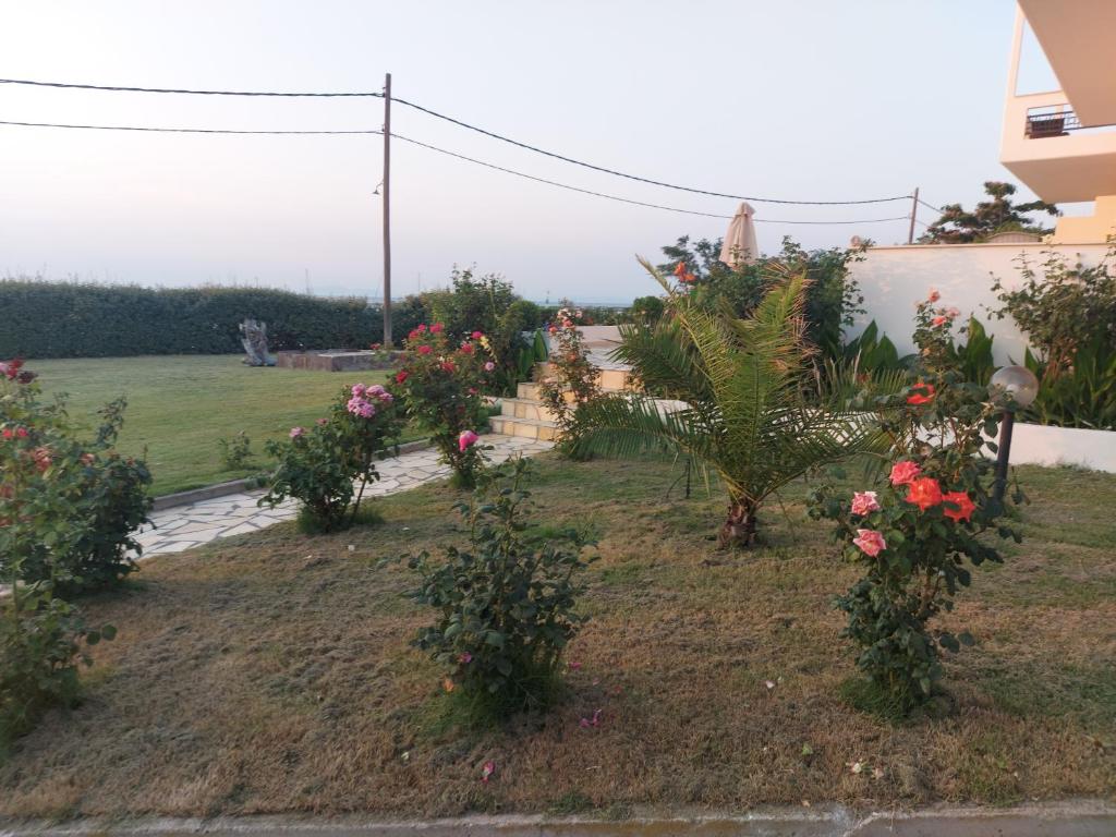 Zahrada ubytování Aktaion Apartments