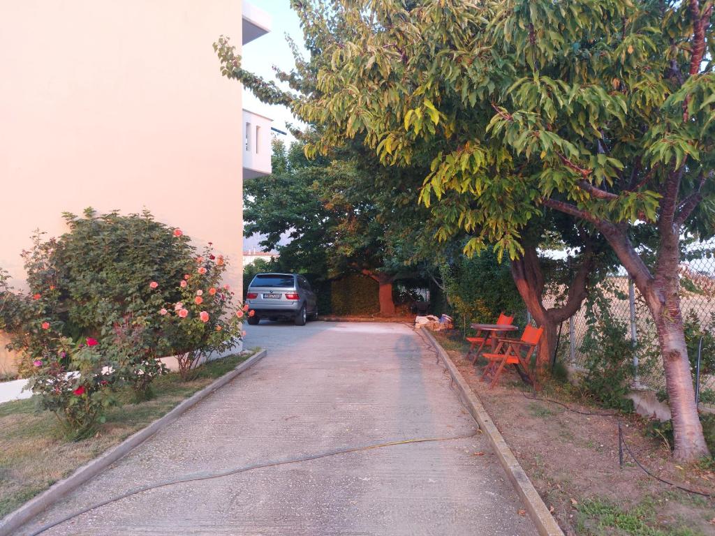 Fotografie z fotogalerie ubytování Aktaion Apartments v destinaci Samothraké