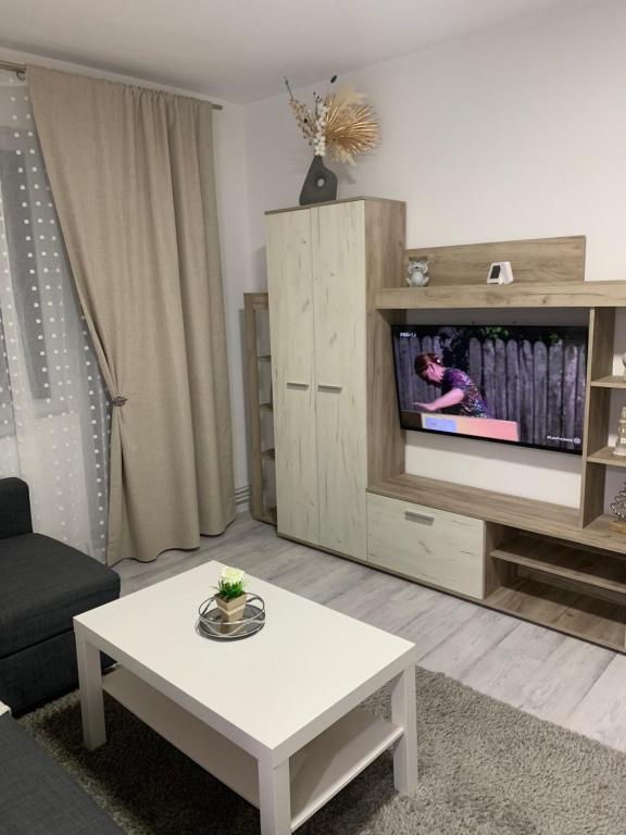 uma sala de estar com uma televisão e uma mesa de centro em Apartament Elena em Bîrlad