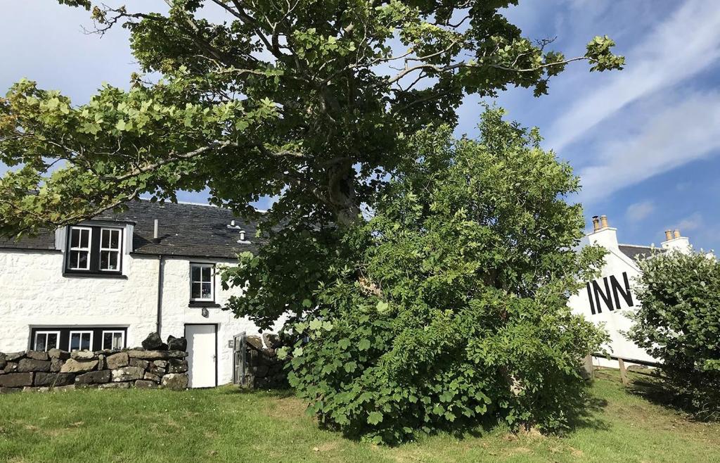 a white house with a tree in front of it at Florrie's in Stein