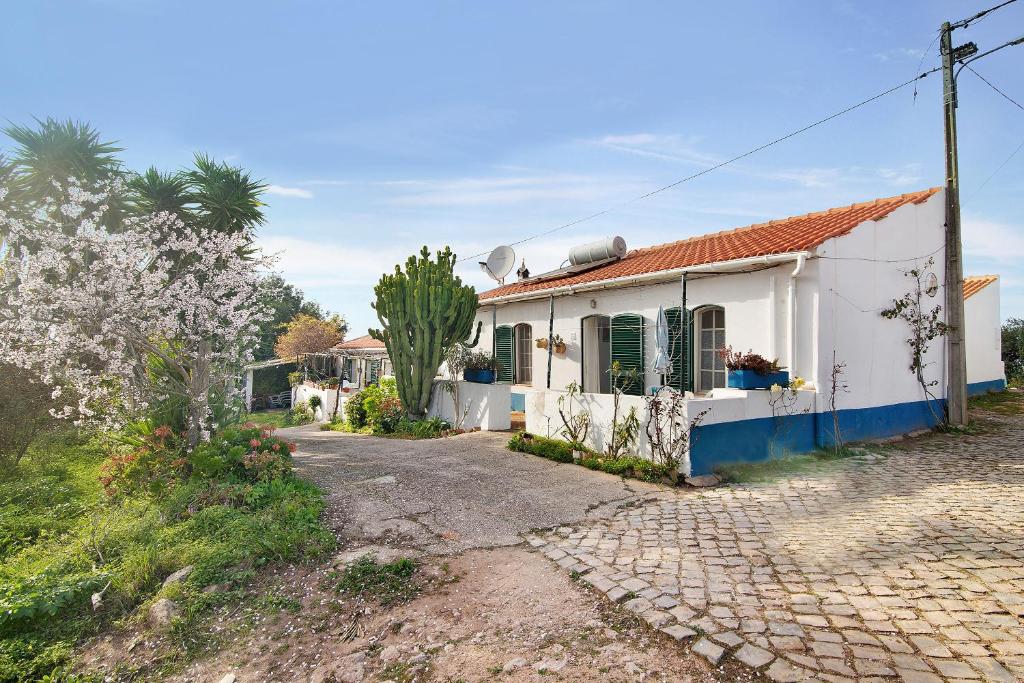 una casa blanca con un cactus delante en Casa Delfim - Casa Azul, en Alte