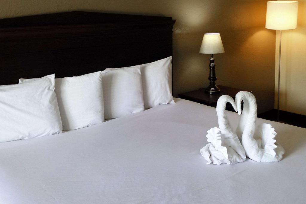 Postel nebo postele na pokoji v ubytování Econo Lodge