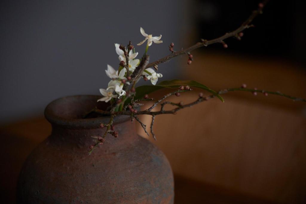 Fotografie z fotogalerie ubytování Lhotel de Mai v destinaci Tamba-sasayama