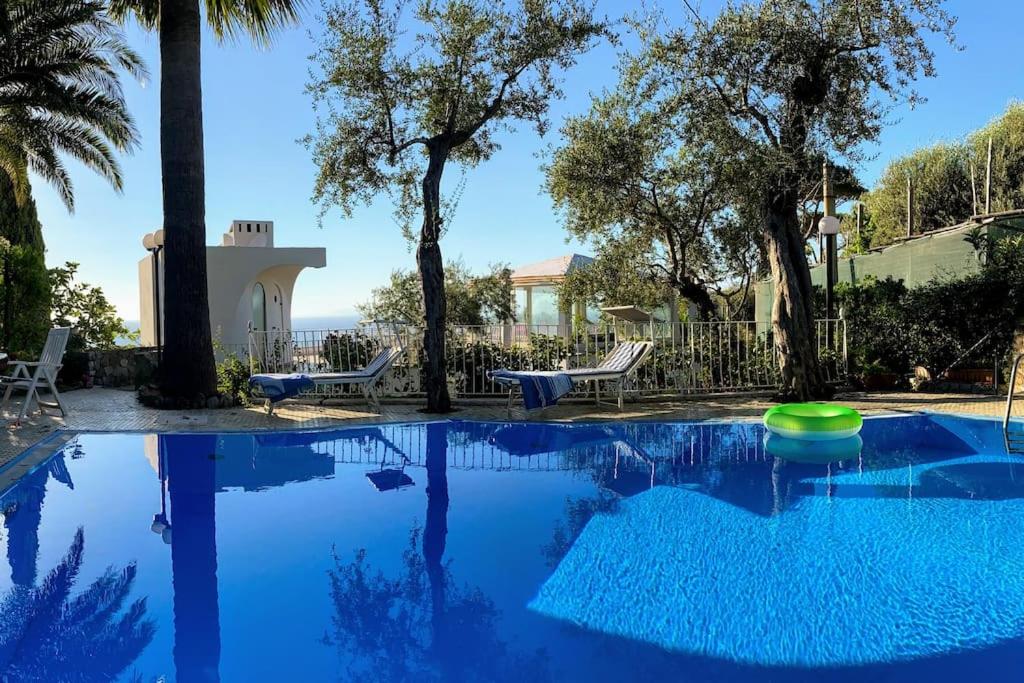 - une piscine entourée de chaises et d'arbres dans une cour dans l'établissement Maison Il Vervece - Sorrento, à Massa Lubrense