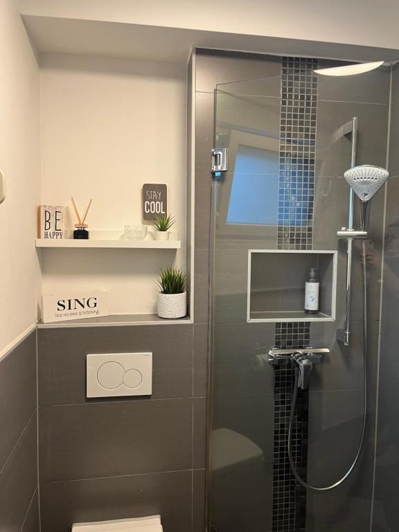 a shower with a glass door in a bathroom at Luxury Apartment Vorstetten in Vörstetten