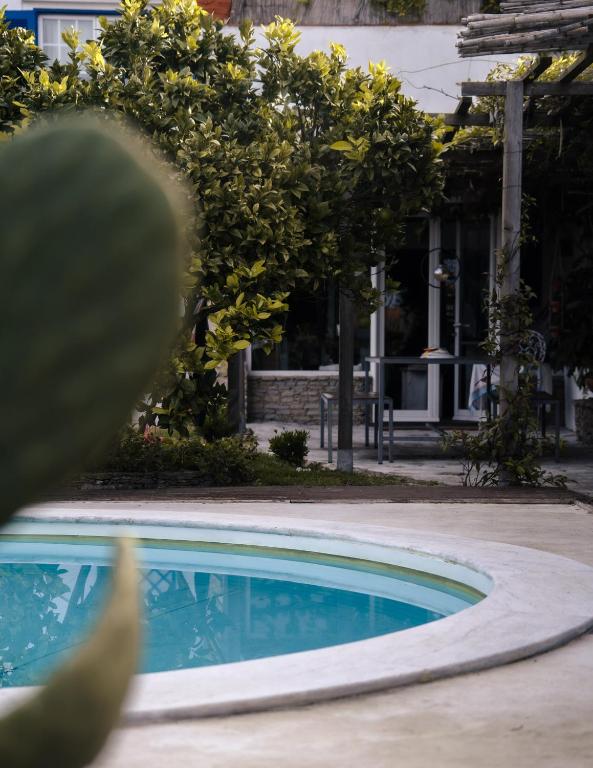 a house with a swimming pool and a cactus at João Jungle in Açafora