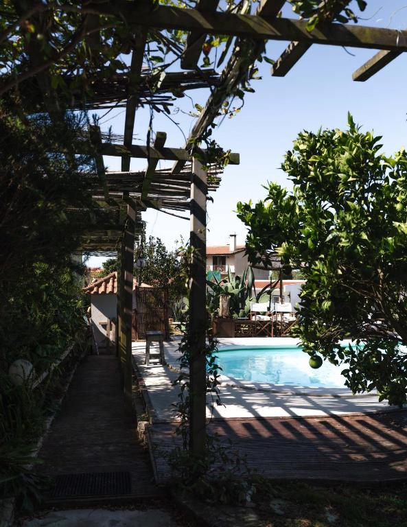 a pergola next to a swimming pool at João Jungle in Açafora