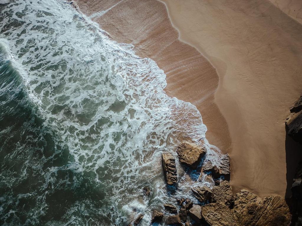 an overhead view of the ocean and the beach at João Jungle in Açafora