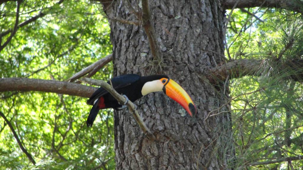  Brotas Eco Hotel Fazenda