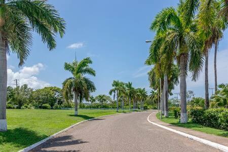 a road with palm trees on the side of a field at Ultra Modern 2BR Penthouse, Sleeps 5, Beach Front, Pool, Roof Patio, Montego Bay in Montego Bay