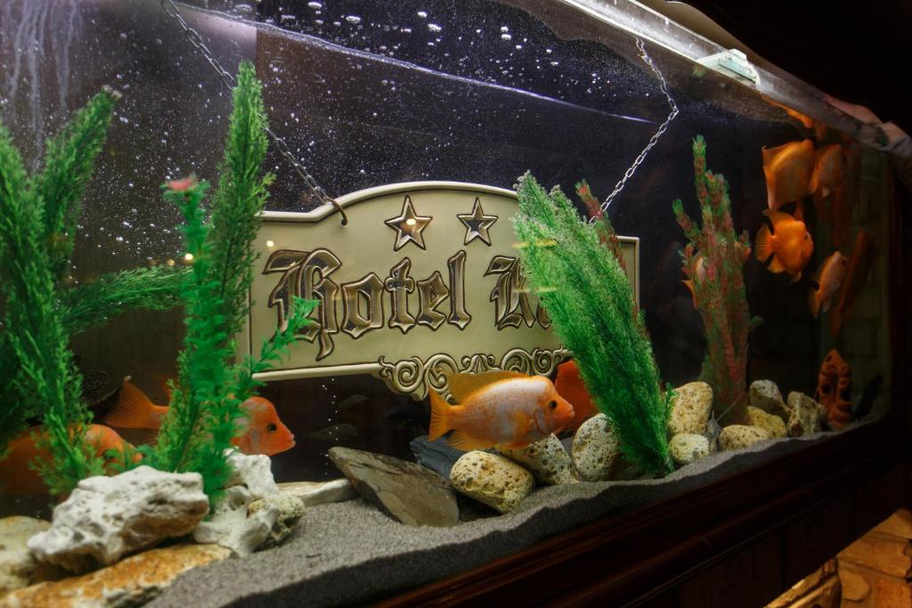 Hotel Karin - Resim 43