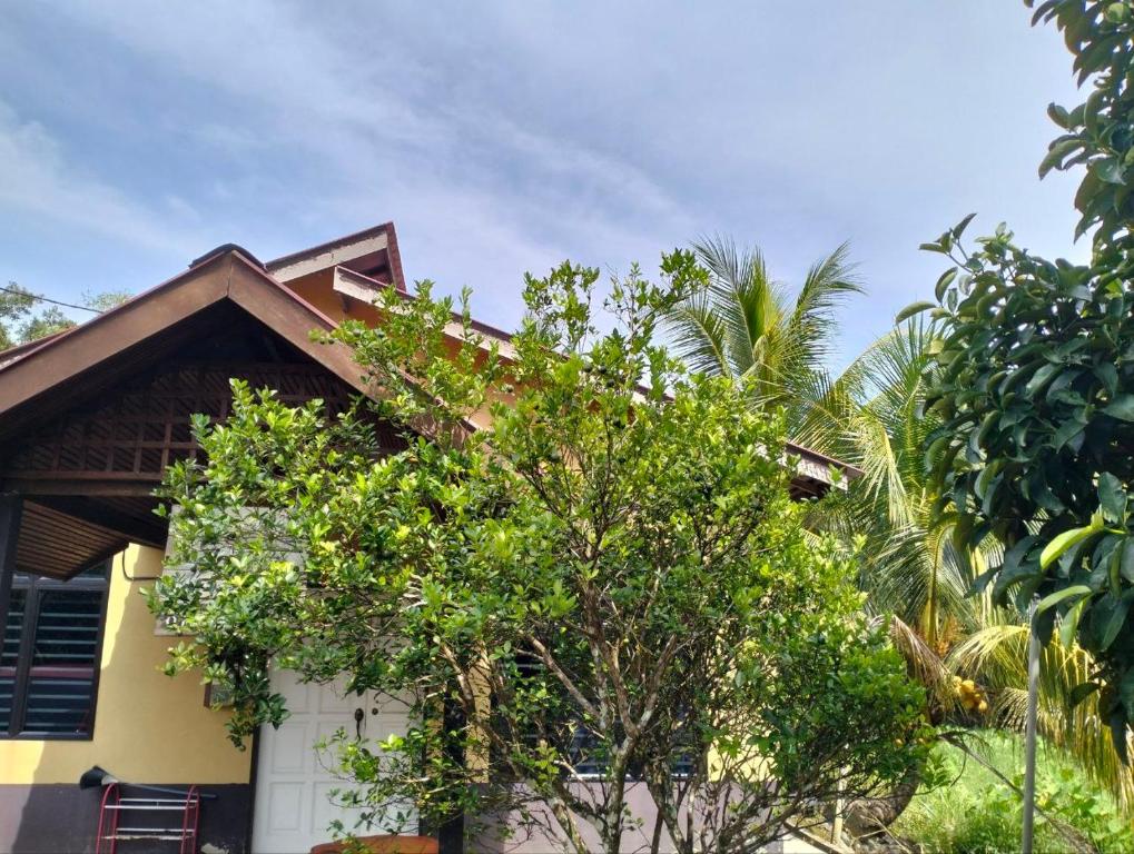 a house with a tree in front of it at De'Lakeside musslim's homestay in Raub