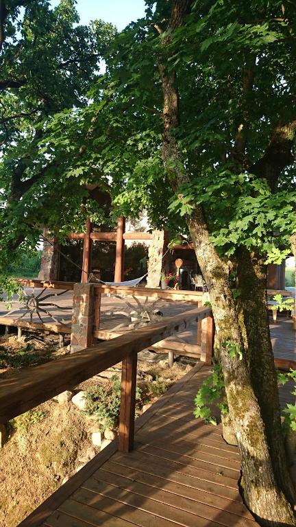 a wooden bench sitting next to a tree at Ąžuolas in Kaspariškė