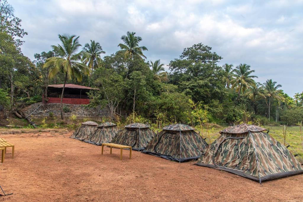 a group of tents in a field with trees at Dandeli Resorts Inn in Dandeli